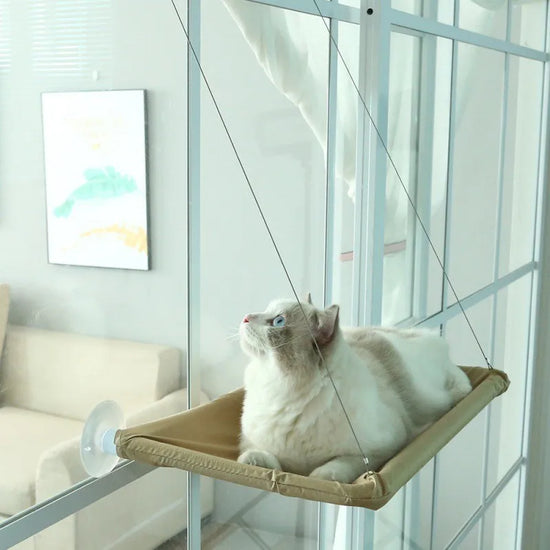 Cat Rest Home Hammock Window Mounted Pet Seat