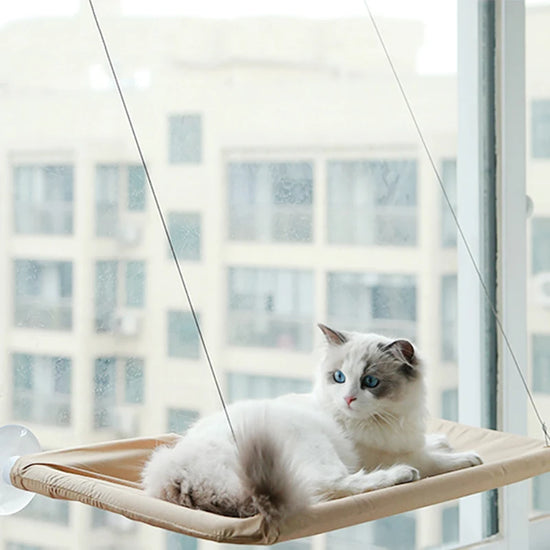 Cat Rest Home Hammock Window Mounted Pet Seat