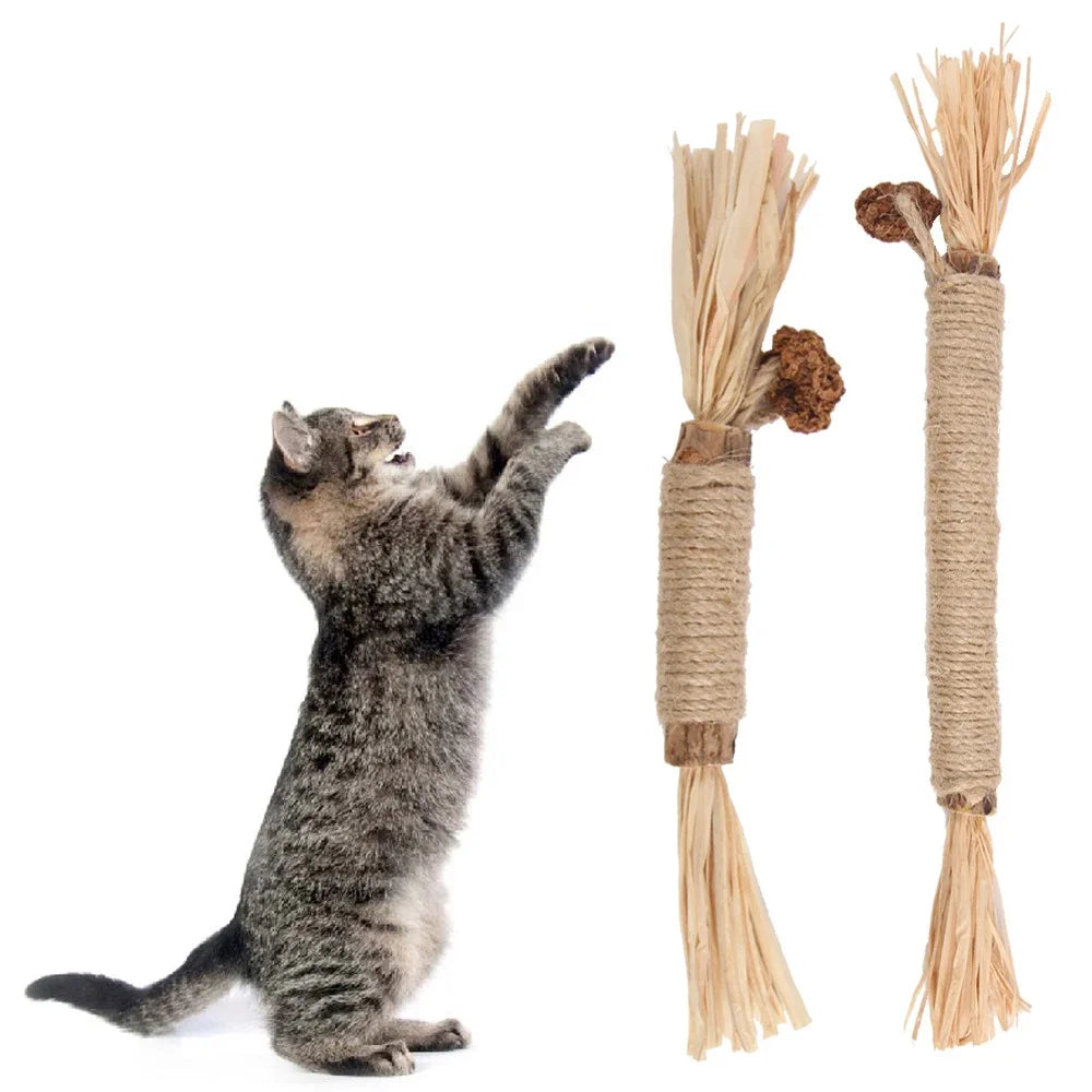 Cat Toys Silvervine Chew Stick Pet Snacks Sticks