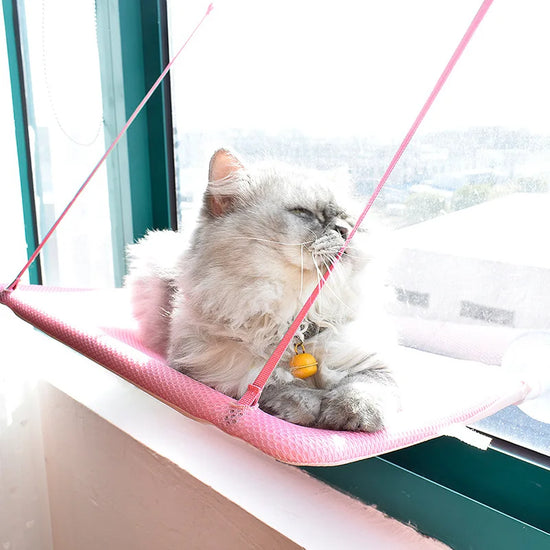 Cat Rest Home Hammock Window Mounted Pet Seat