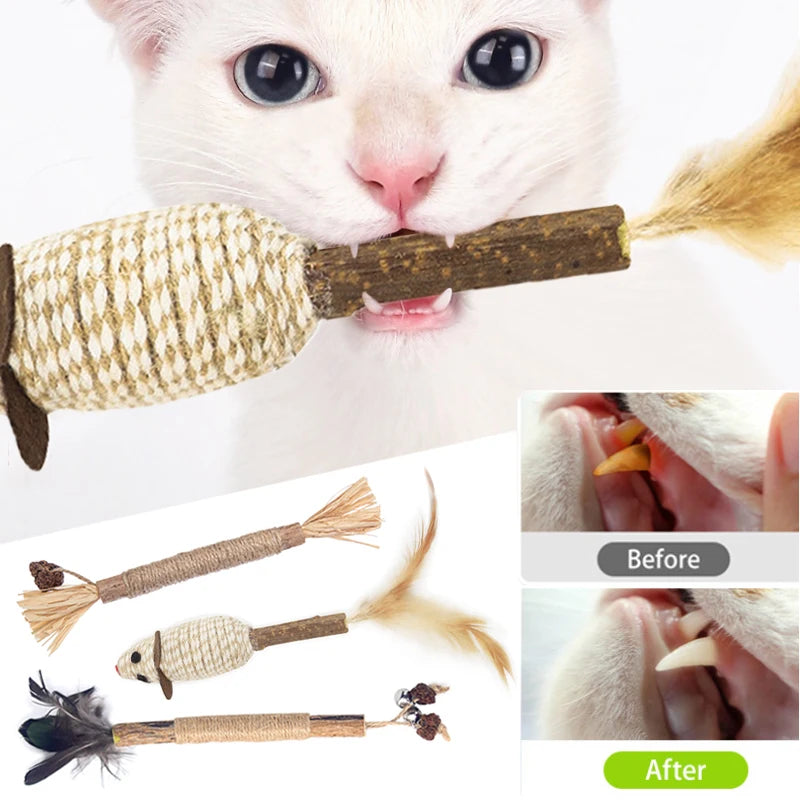 Cat Toys Silvervine Chew Stick Pet Snacks Sticks