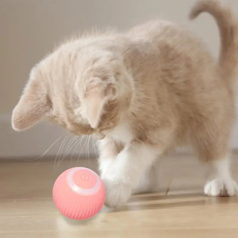 Smart Cat Toys Automatic Rolling Ball Electric Pet Accessories