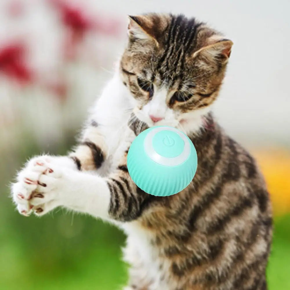 Smart Cat Toys Automatic Rolling Ball Electric Pet Accessories