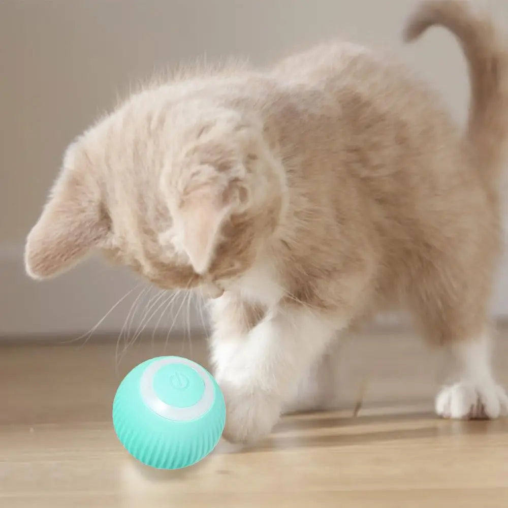 Smart Cat Toys Automatic Rolling Ball Electric Pet Accessories