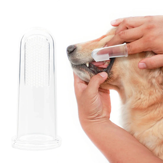 Super Soft Pet Finger Toothbrush Teddy Dog Brush Bad Breath